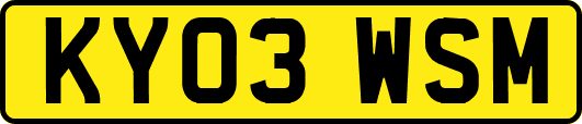 KY03WSM