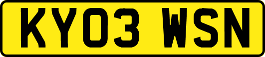 KY03WSN