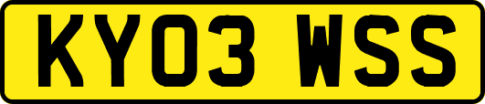KY03WSS