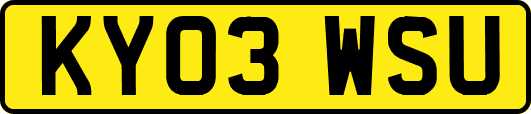 KY03WSU