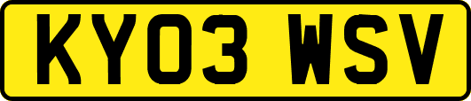 KY03WSV