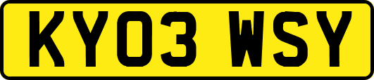 KY03WSY
