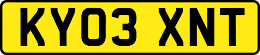 KY03XNT