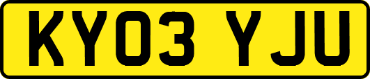 KY03YJU