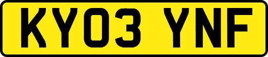 KY03YNF
