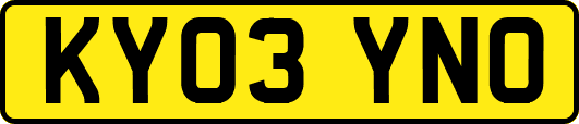 KY03YNO
