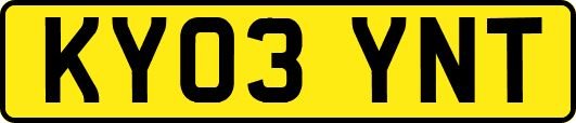 KY03YNT