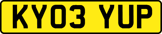 KY03YUP
