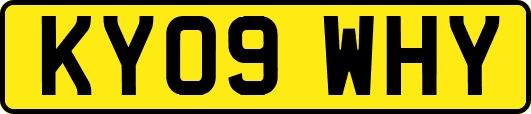 KY09WHY