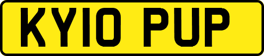 KY10PUP