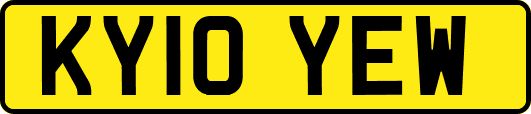 KY10YEW