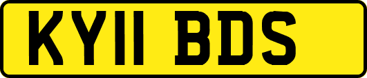 KY11BDS
