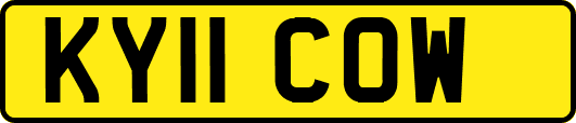KY11COW