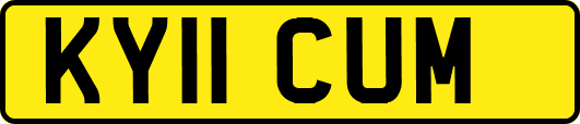 KY11CUM