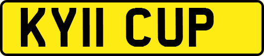 KY11CUP