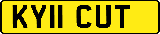 KY11CUT