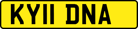 KY11DNA