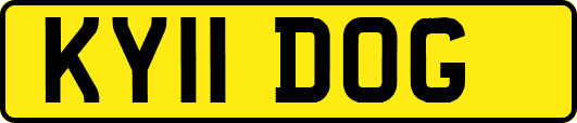 KY11DOG