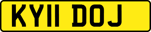 KY11DOJ