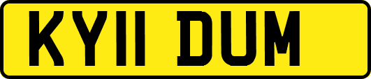 KY11DUM
