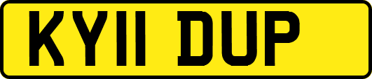 KY11DUP