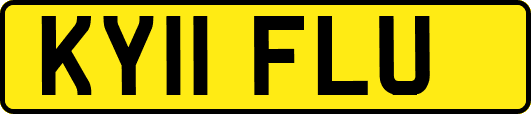 KY11FLU