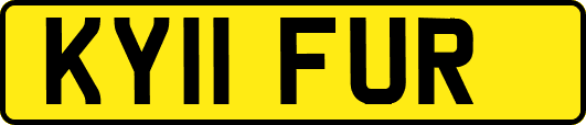 KY11FUR