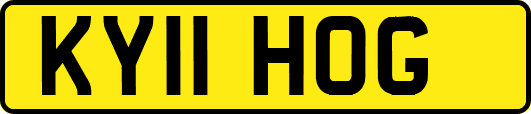 KY11HOG
