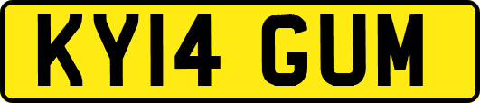 KY14GUM