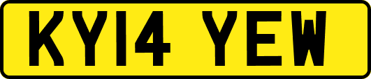 KY14YEW