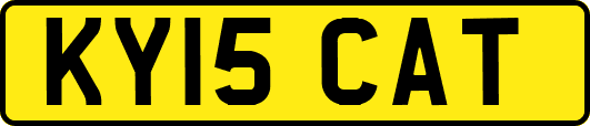KY15CAT