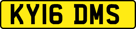 KY16DMS