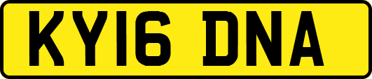 KY16DNA