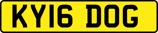 KY16DOG