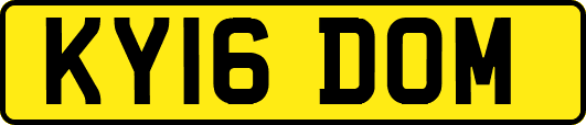 KY16DOM
