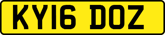KY16DOZ