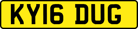 KY16DUG