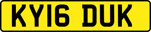 KY16DUK
