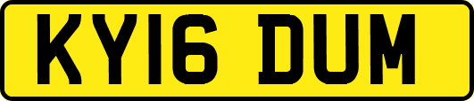 KY16DUM