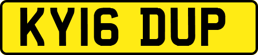 KY16DUP