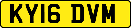 KY16DVM