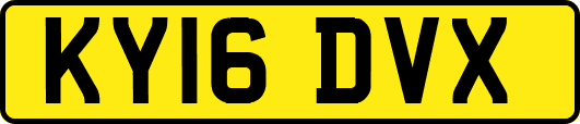 KY16DVX
