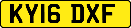KY16DXF
