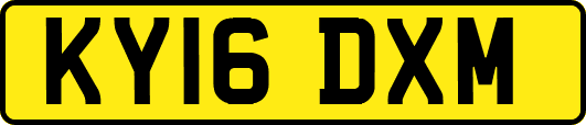 KY16DXM