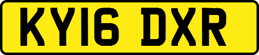 KY16DXR