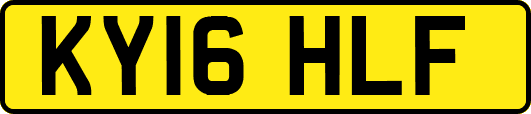 KY16HLF