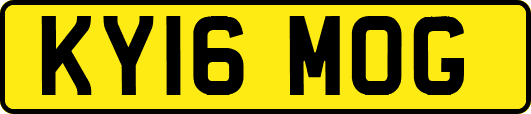 KY16MOG