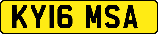 KY16MSA