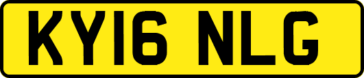 KY16NLG