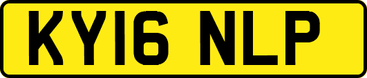 KY16NLP